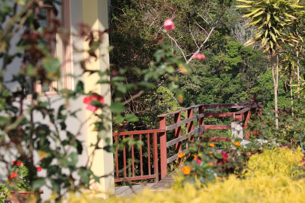 Hotel Las Orquideas モンテベルデ エクステリア 写真