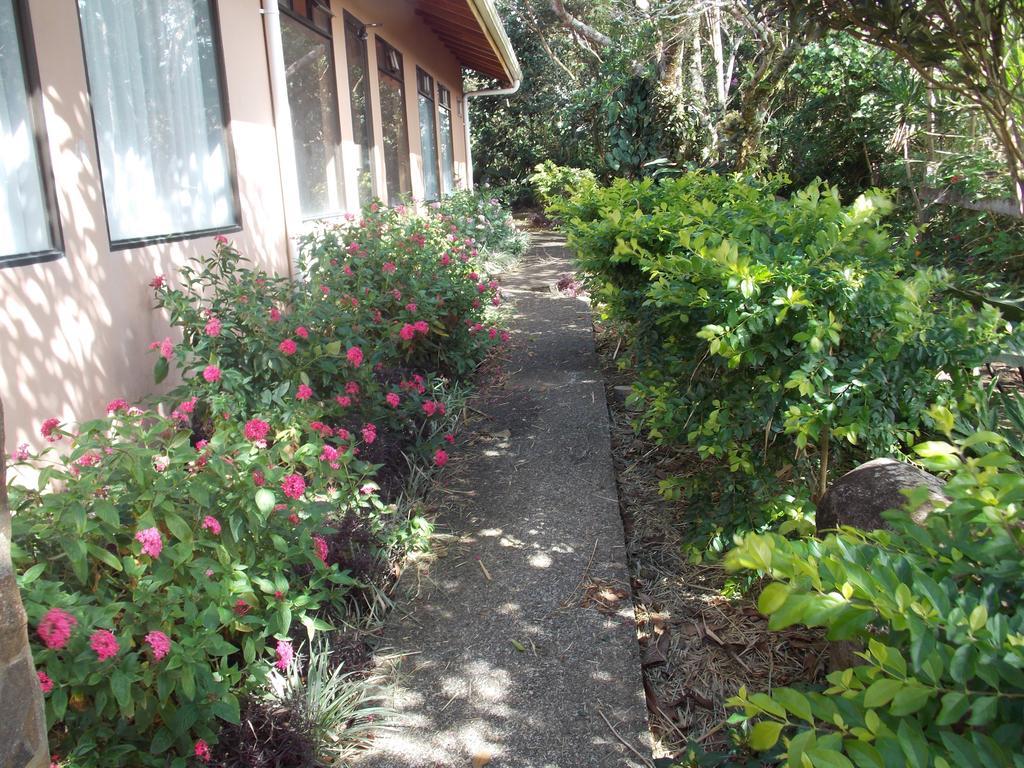 Hotel Las Orquideas モンテベルデ エクステリア 写真