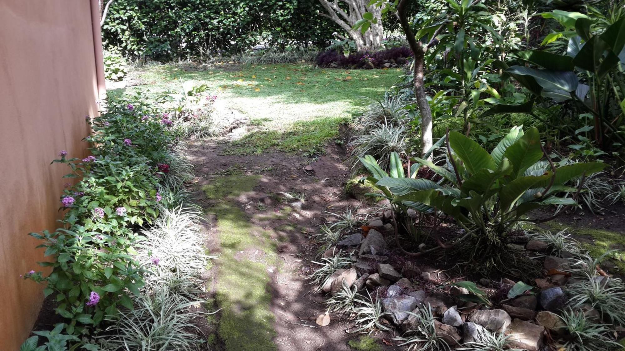Hotel Las Orquideas モンテベルデ エクステリア 写真