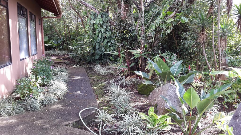 Hotel Las Orquideas モンテベルデ エクステリア 写真