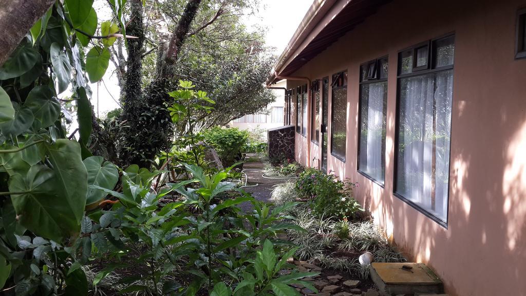 Hotel Las Orquideas モンテベルデ エクステリア 写真
